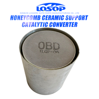 Oval Ceramic Honeycomb Substrate Catalyst for Catalytic Converter