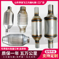 Automotive Parts Carrier Universal Catalytic Converter